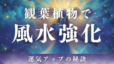 風水と観葉植物の意外な関係！運気を上げる秘訣