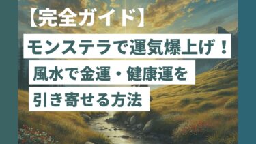 【完全ガイド】風水とモンステラで運気アップ！金運・健康運・人間関係を引き寄せる置き場所と育て方